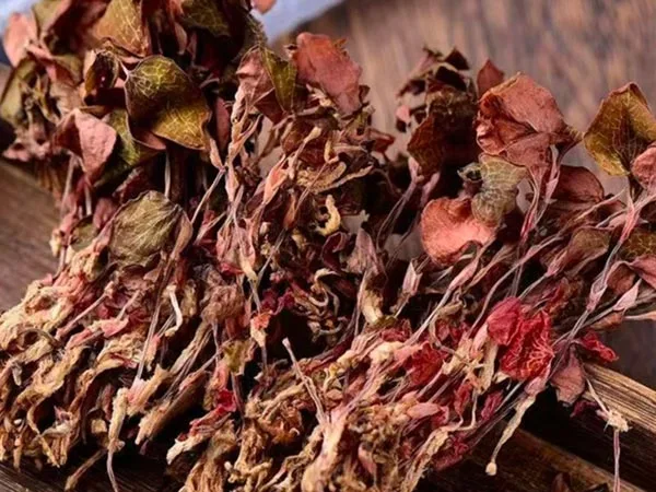 Сушеный Anoectochilus Roxburghii высшего качества поступает на специализированные рынки