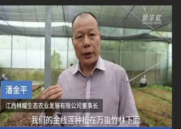 Пань Цзиньпин, председатель Jiangxi Linyao Ecoological Agriculture Development Co., Ltd., дал интервью информационному агентству Синьхуа